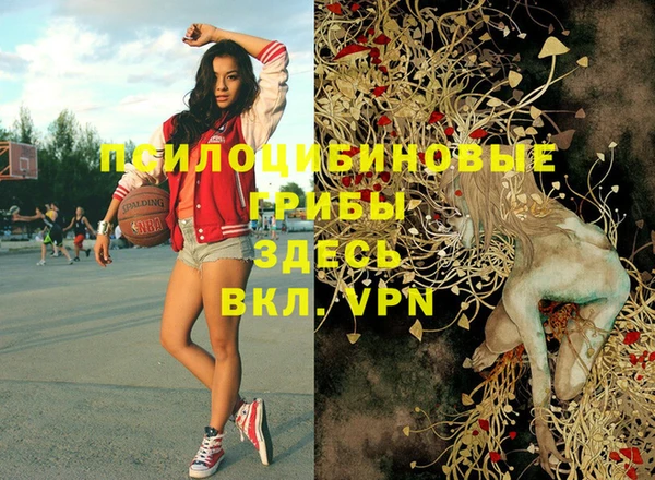 не бодяженный Алексин